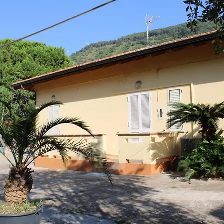 아파트 Natina 피조